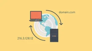 نیم سرور یا dns